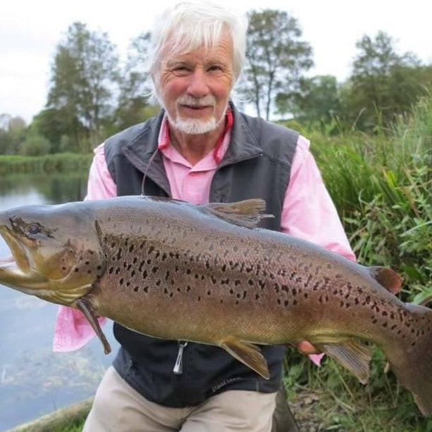 Top Tips - Dream Trout on Dry Flies