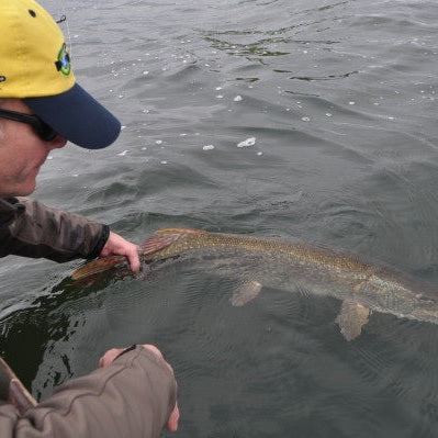 Top Tips - Catch and Release