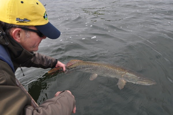 Top Tips - Catch and Release