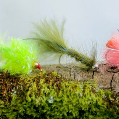 Top Tips - Fly fishing at Burrator Reservoir, Dartmoor