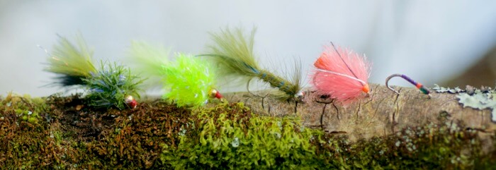 Top Tips - Fly fishing at Burrator Reservoir, Dartmoor