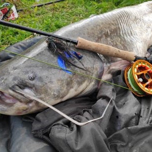 Top Tips -  Fly Fishing for Catfish - JR Hartley meets The Texas Chainsaw Massacre