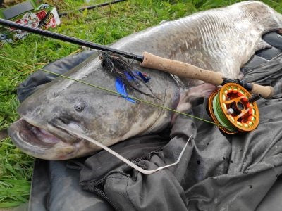 Top Tips -  Fly Fishing for Catfish - JR Hartley meets The Texas Chainsaw Massacre