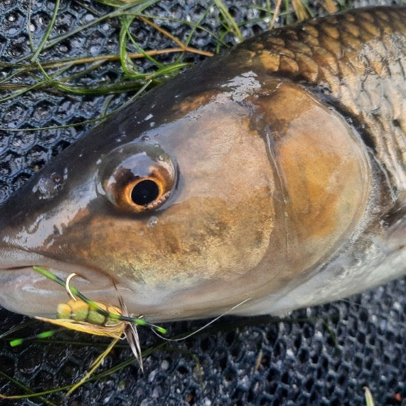 Top Tips - Going Large: 6 Brilliant Big Dry Flies & How to Fish Them