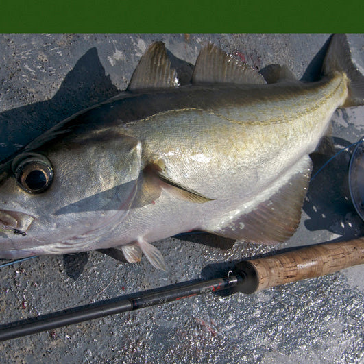 Top Tips -  6 Flies For UK Saltwater Fishing