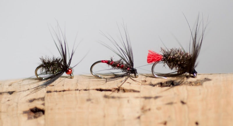 Top Tips: Really easy flies to tie: The Black & Peacock Spider