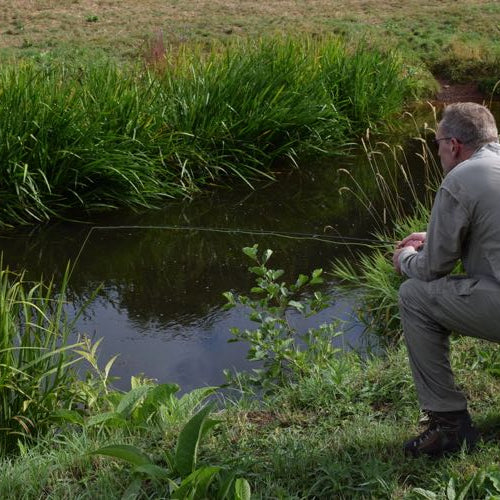 Top Tips: A Rough Guide to Fly Lines