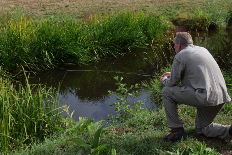 Top Tips: A Rough Guide to Fly Lines