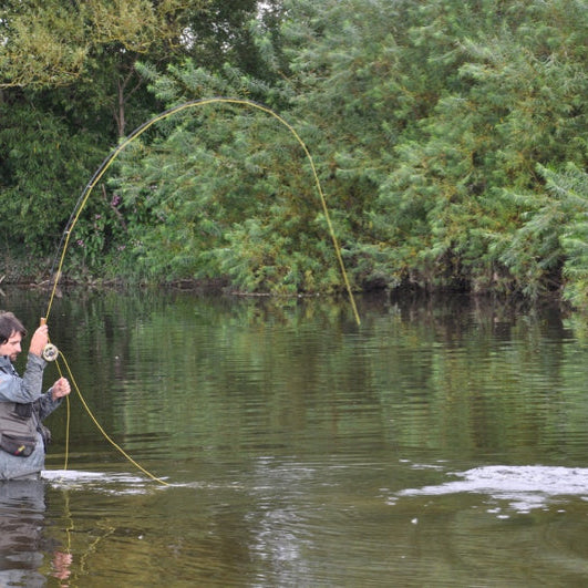 Top Tips: A new Year and a New Season