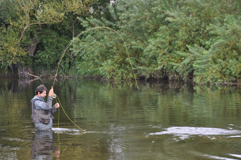 Top Tips: A new Year and a New Season