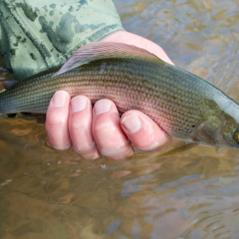 Top Tips: 10 Top Winter Grayling Fishing Tips