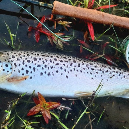 Top Tips: Fly Tying the deadly Silicone Daddy