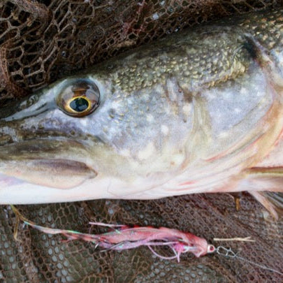 Top Tips: Best pike flies to try this season
