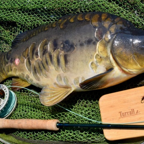 Top Tips - Summer fly fishing challenges- and tips to solve them!