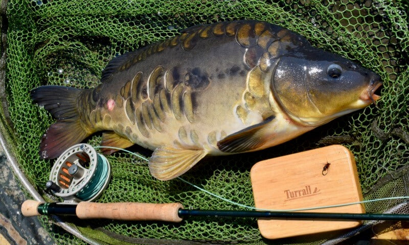 Top Tips - Summer fly fishing challenges- and tips to solve them!