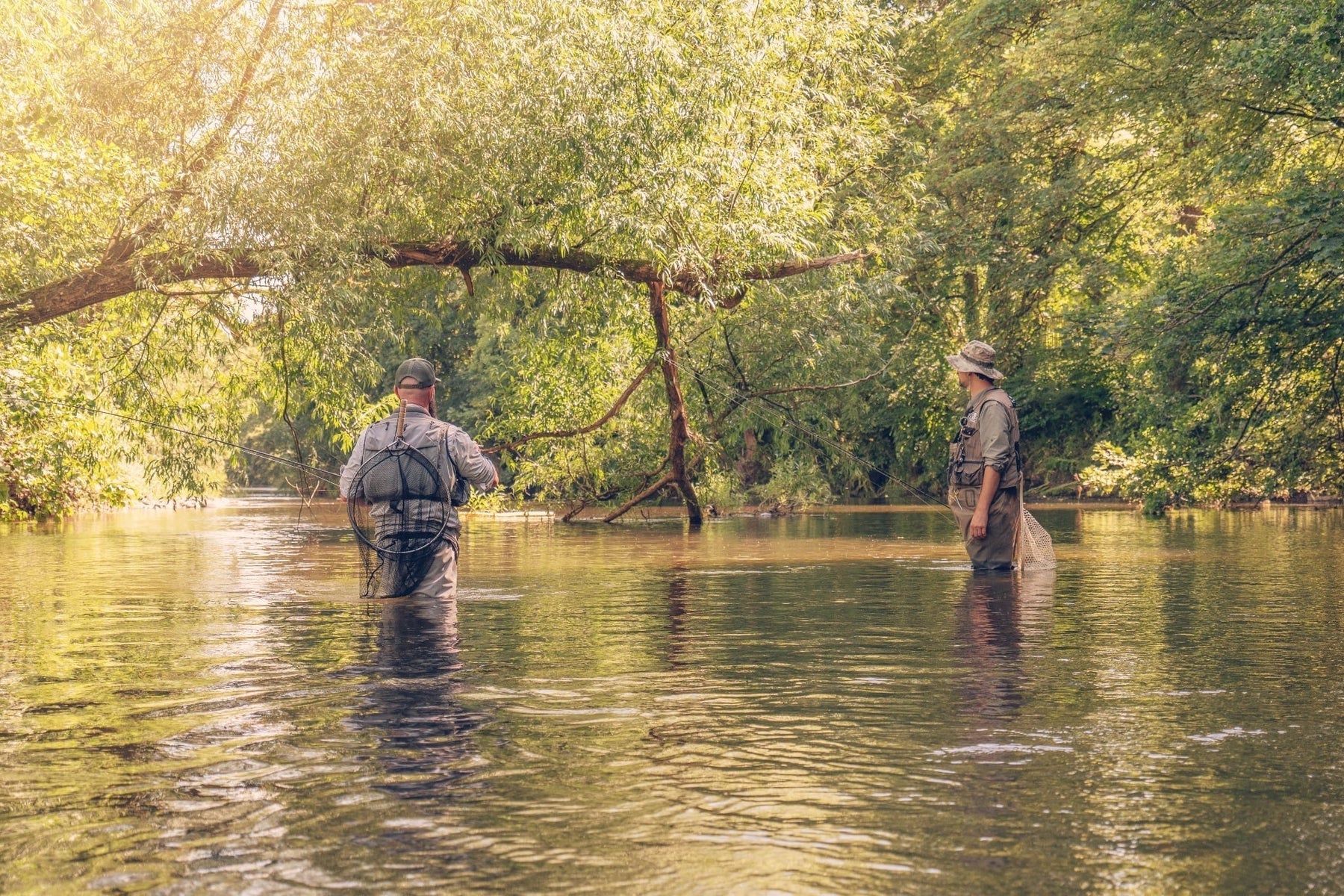 Top Tips: Grayling - Nymphing vs Dry Fly Fishing - Video
