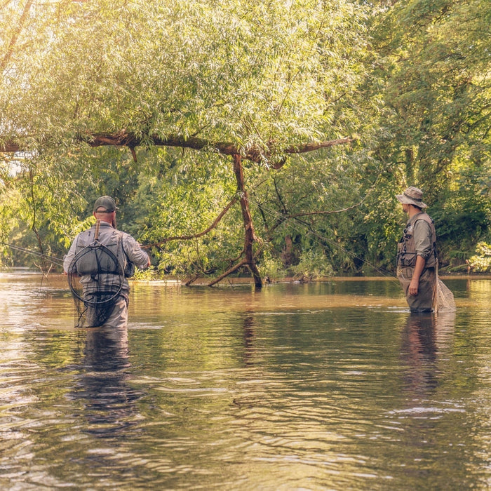Top Tips: Grayling - Nymphing vs Dry Fly Fishing - Video