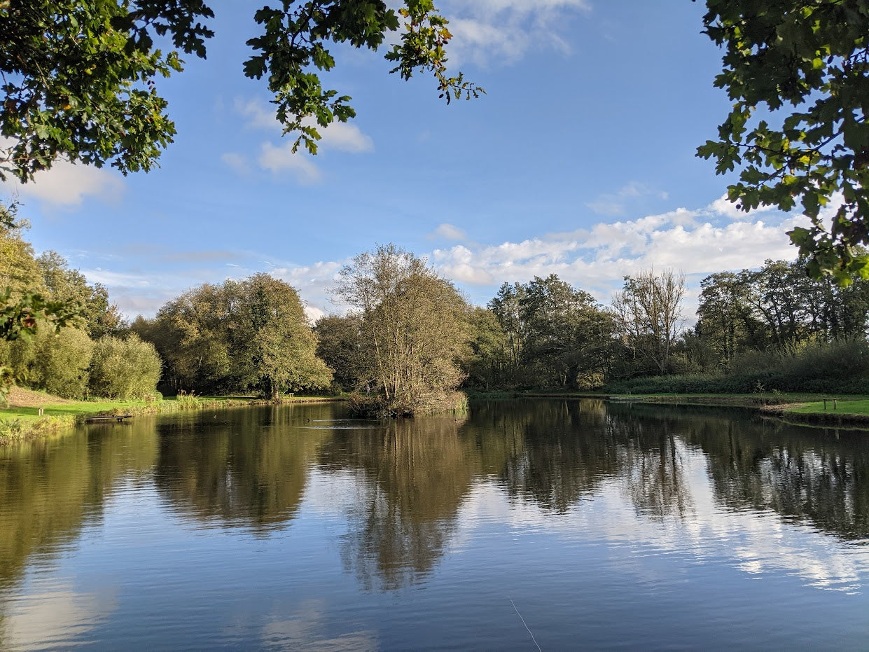 Top Tips - Chalk stream and Lake Fishing in Hampshire