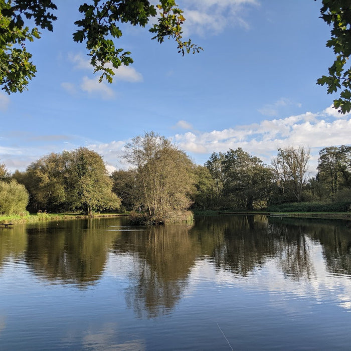 Top Tips - Chalk stream and Lake Fishing in Hampshire