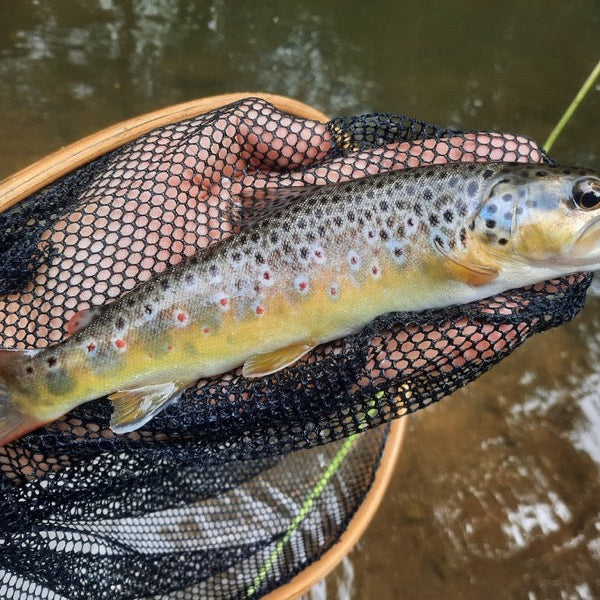 Top Tips - New Zealand Style Dry and Dropper Fly Fishing Tips