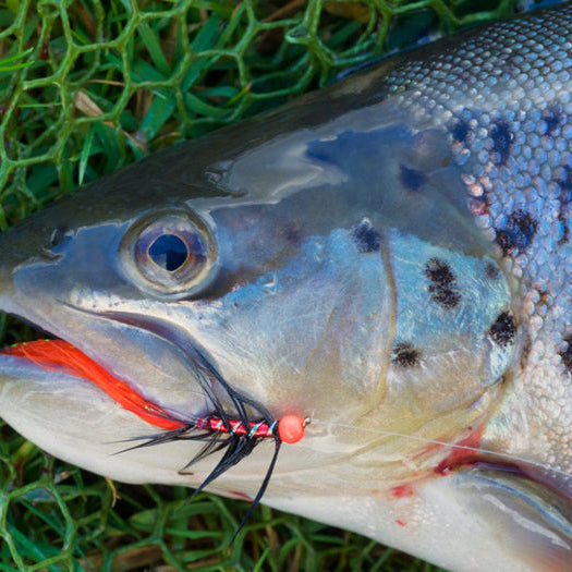 Top Tips - Fly fishing at Burrator Reservoir, Dartmoor