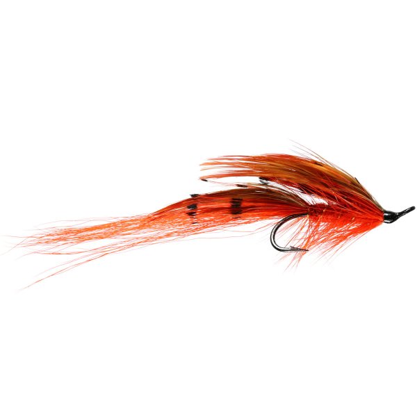 SALMON DOUBLE FLY GENERAL PRACTITIONER