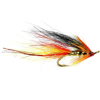 SALMON DOUBLE FLY THE PARK SHRIMP