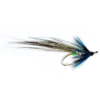 SALMON DOUBLE FLY MORNING GLORY SHRIMP