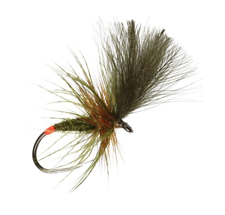 SPECIAL DRY FLY OLIVE GRUNTER