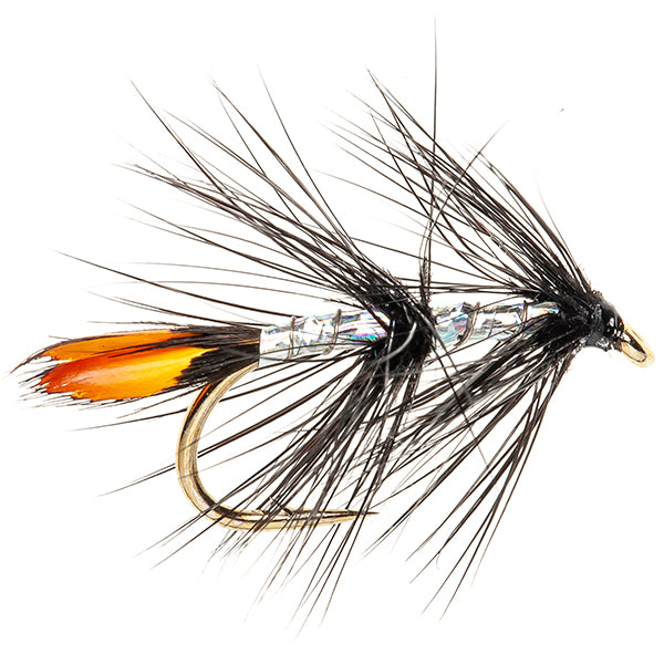 SEA TROUT SINGLE FLY DELPHI BLACK JC