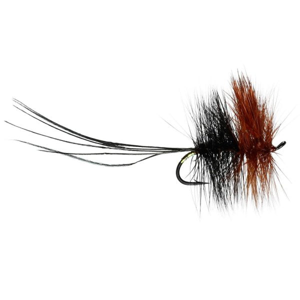 SALMON SINGLE FLY DAPPING KATE MACLAREN