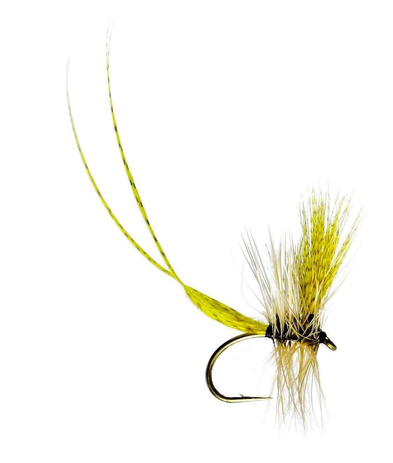 MAYFLY TWIN FEATHER