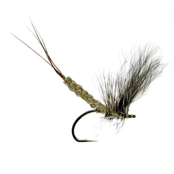 MAYFLY DETACHED CDC DUN