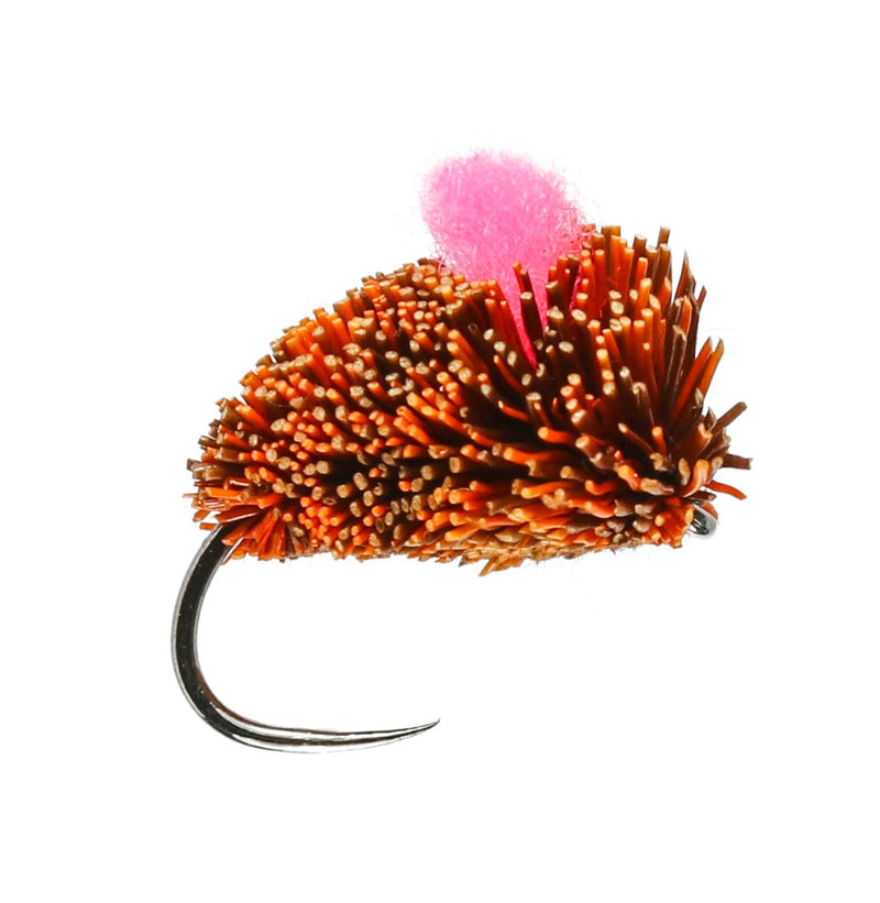 CARP FLY BARBLESS GINGER DOG BISCUIT
