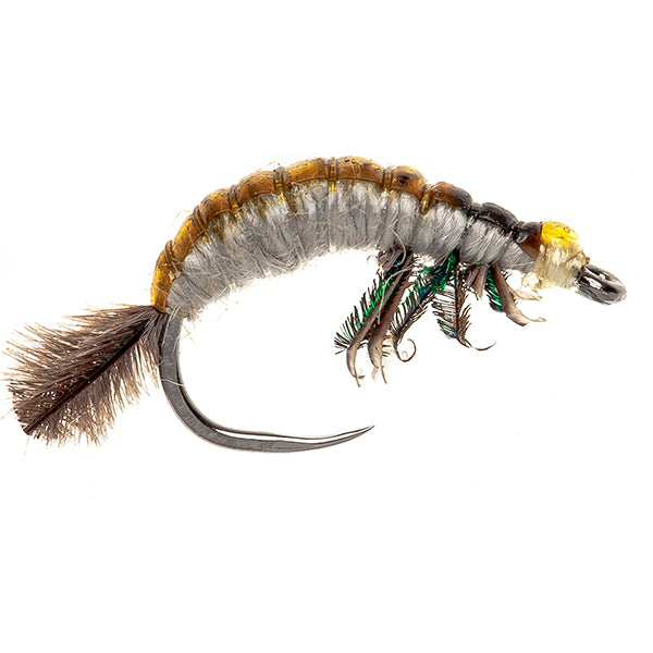 CZECH NYMPH FLY HYDROPSYCHE LARVA