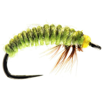 CZECH NYMPH FLY RHYACOPHILA LARVA