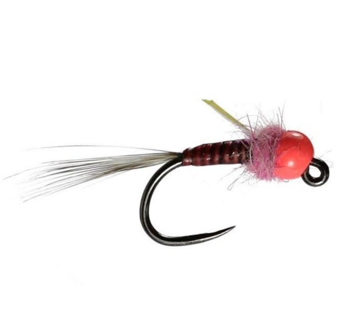 TUNGSTEN NYMPH FLY PINK QUILL NYMPH BARBLESS