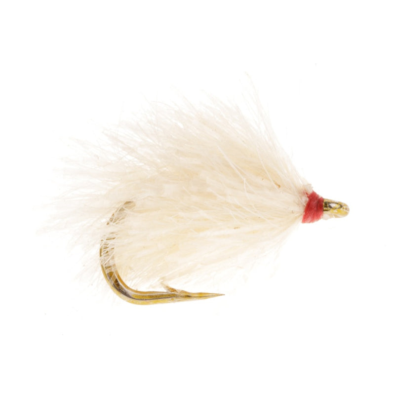 BLOB / BUNG FLY CORAL DOCKER
