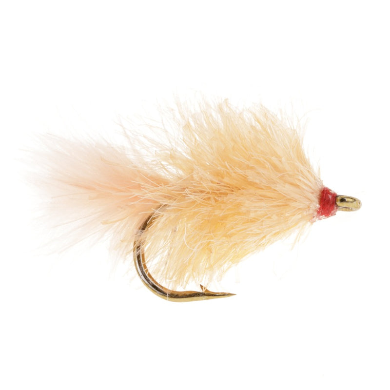 BLOB / BUNG FLY CORAL BLOB