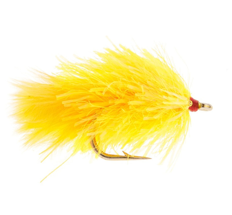 BLOB / BUNG FLY SUNBURST BLOB