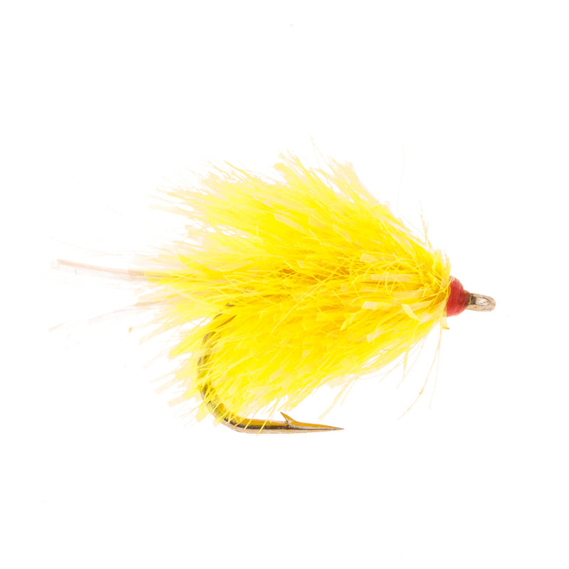 BLOB / BUNG FLY SUNBURST FLASH