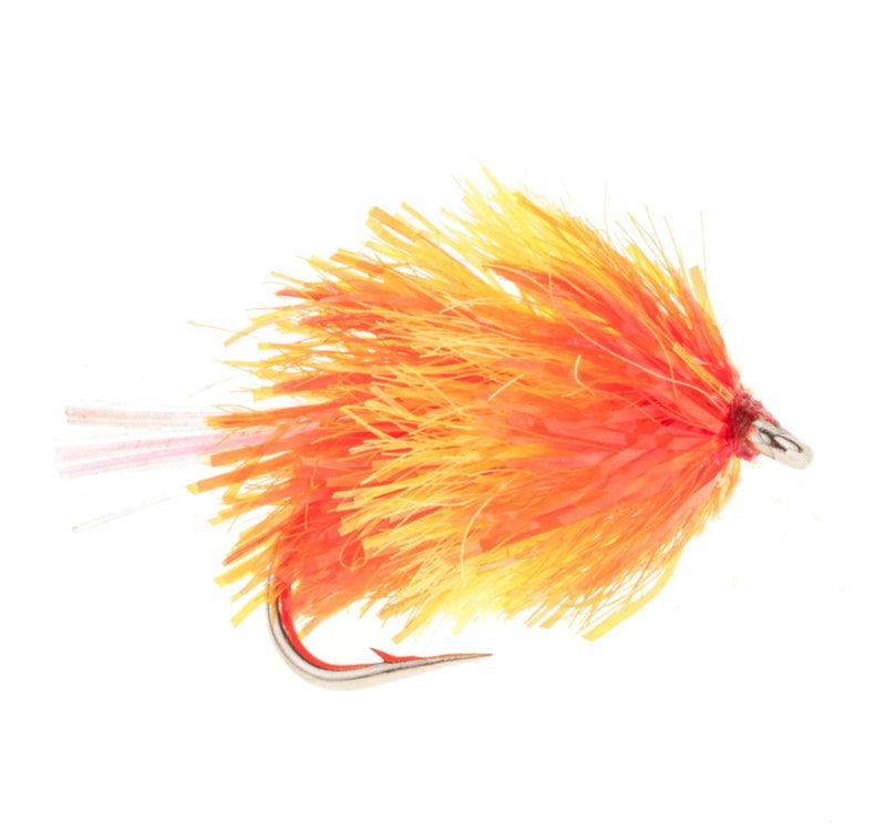 BLOB / BUNG FLY TEQUILA SUNRISE FLASH