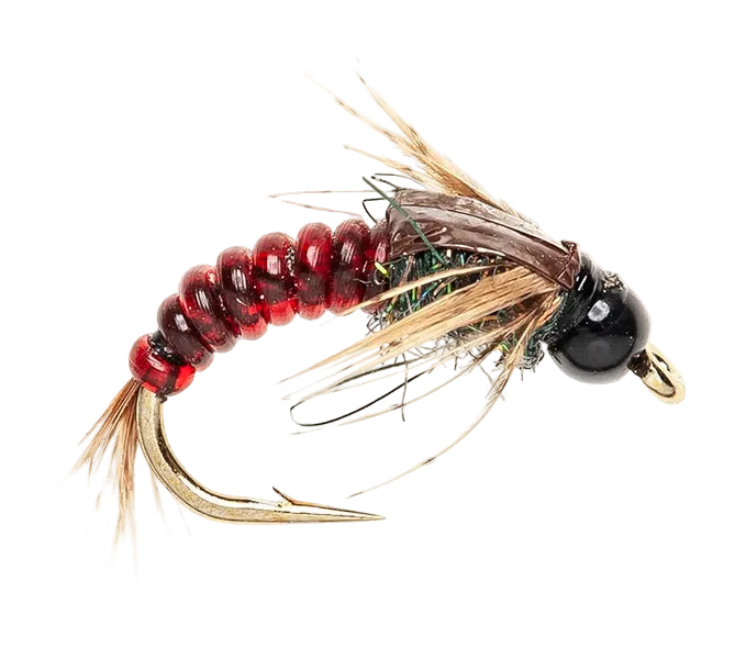 BEADHEAD FLY NORTHERN SHORE BLOOD BACK BEADHEAD