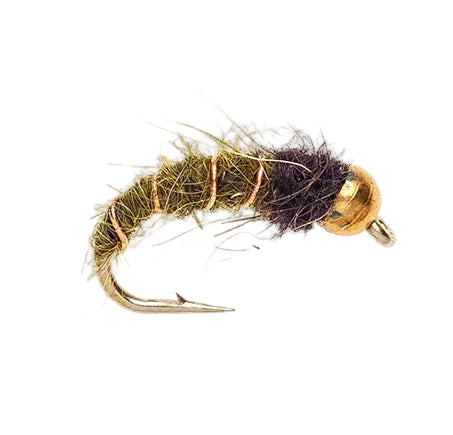 BEADHEAD FLY BEADHEAD CADDIS PUPA OLIVE