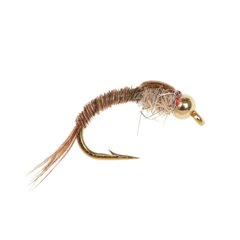 BEADHEAD FLY PHEASANT TAIL GRUB