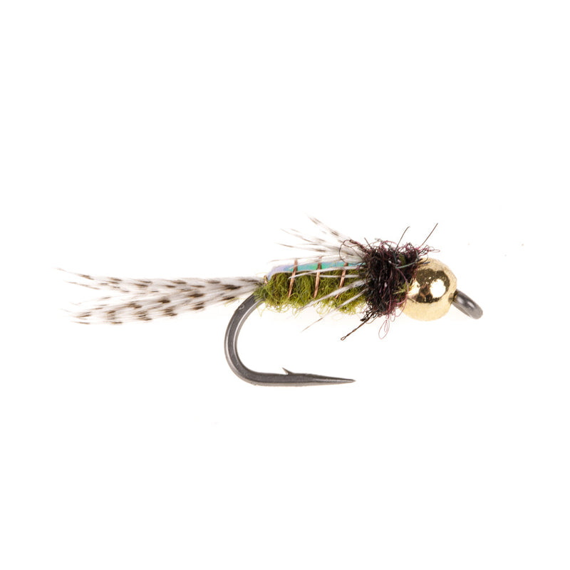 BEADHEAD FLY BEADHEAD FLASHBACK CADDIS OLIVE