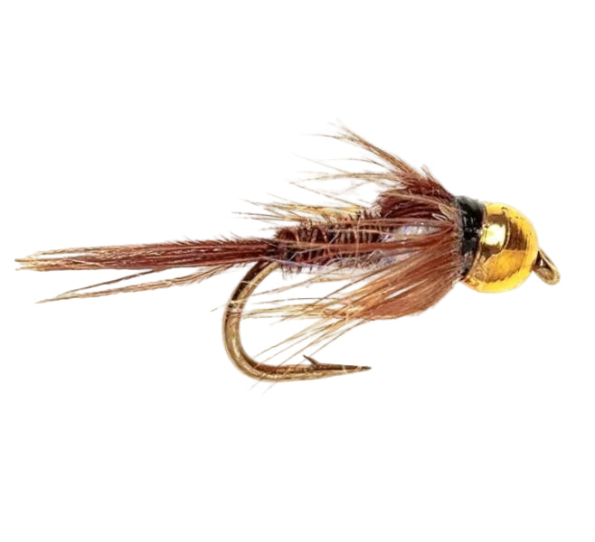 BEADHEAD FLY UV PHEASANT TAIL BH