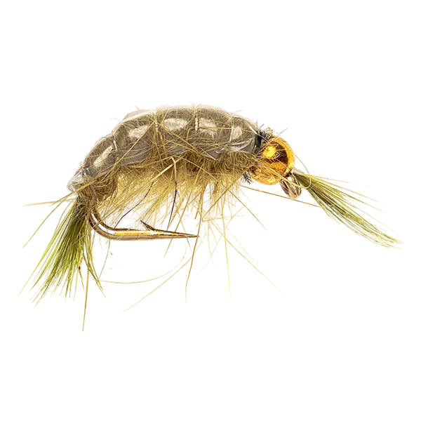 BEADHEAD FLY OLIVE SCUD BH