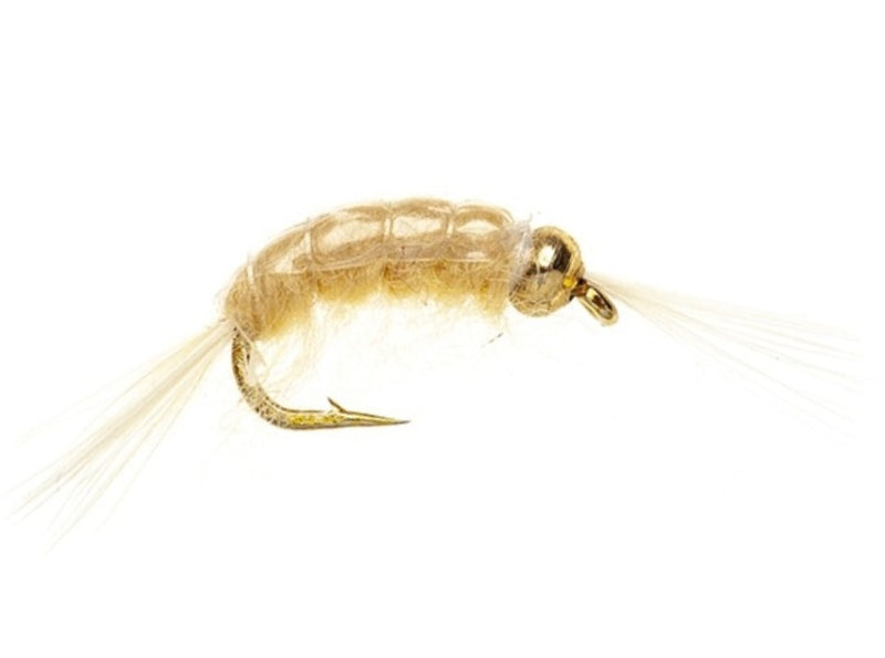 BEADHEAD FLY TAN SCUD BH