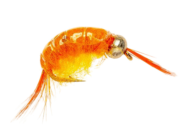 BEADHEAD FLY ORANGE SCUD BH
